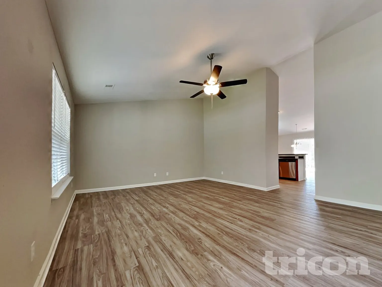 163 Arbor Springs Drive Irmo SC — Photo 3