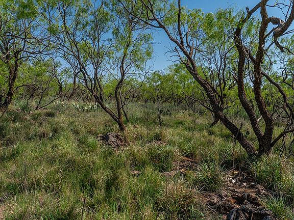 Sweetwater Land For Sale with Owner Financing Available