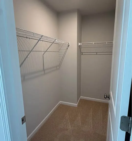 114 Timber Falls Dr — Photo 17