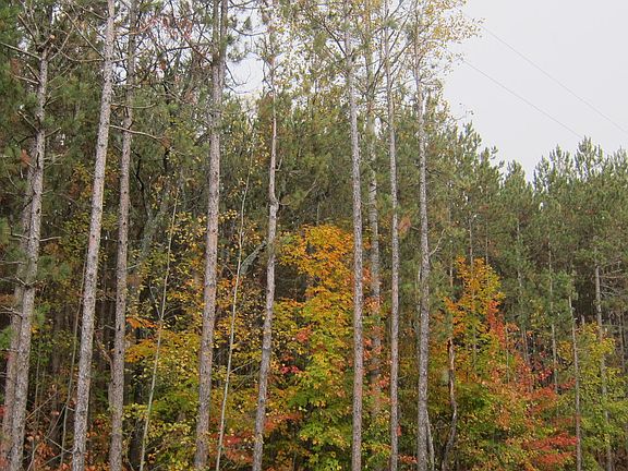 5th image of 9500 Mentor Road 41.5 Acres