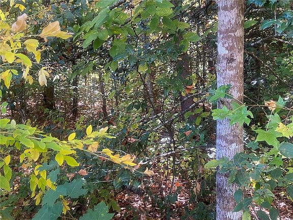 4th image of 609 Crossland Creek Ct