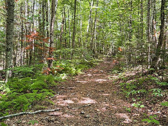 5th image of 0 Osgood Farm Road