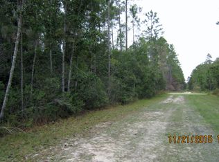 165 S Edgeline Rd, Satsuma, FL 32189