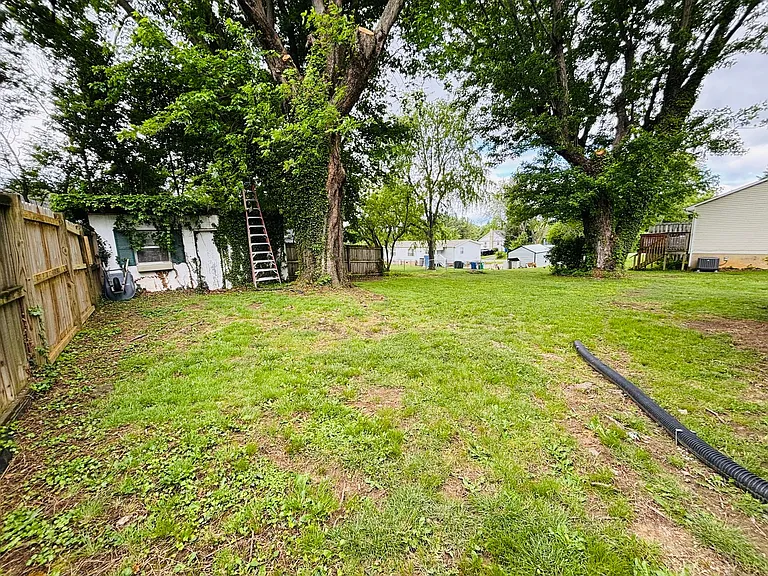 925 Forest St — Photo 17