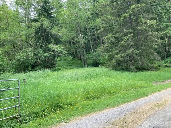 0 Eatonville Elbe Forest Rd E, Eatonville, WA 98328