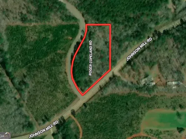 Johnson Mill Rd, Hamilton, GA 31811