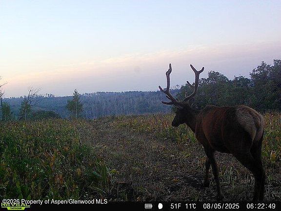 5th image of Tbd County Road 11