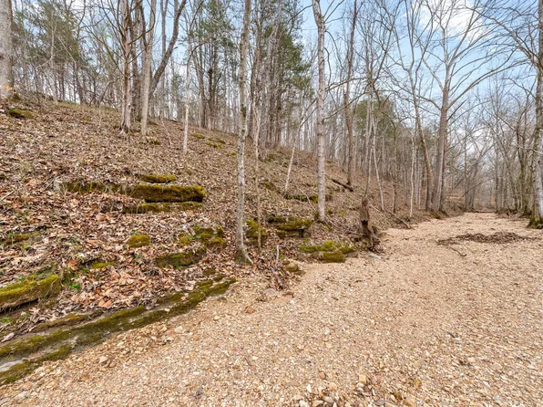 1 Brothers Rd Lot 1, Dover, TN 37058