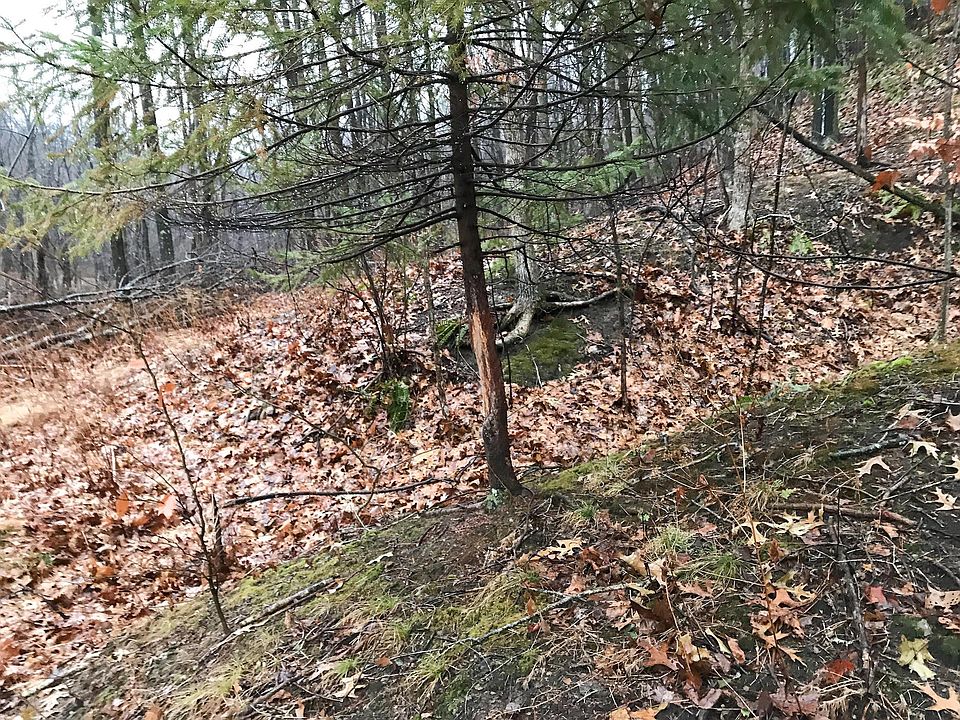 1st image of 19312 Township Road 284