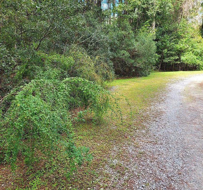2nd image of 21 Wildwood Ln
