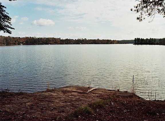 3rd image of 12076 Orlea Ln