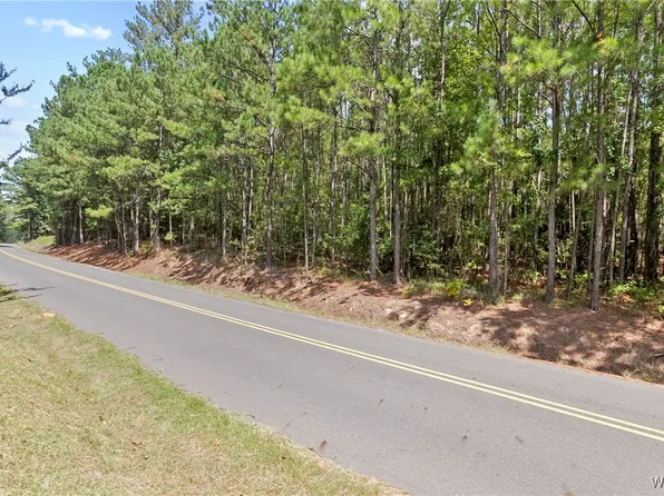 0 Bear Creek Road, Duncanville, AL 35476