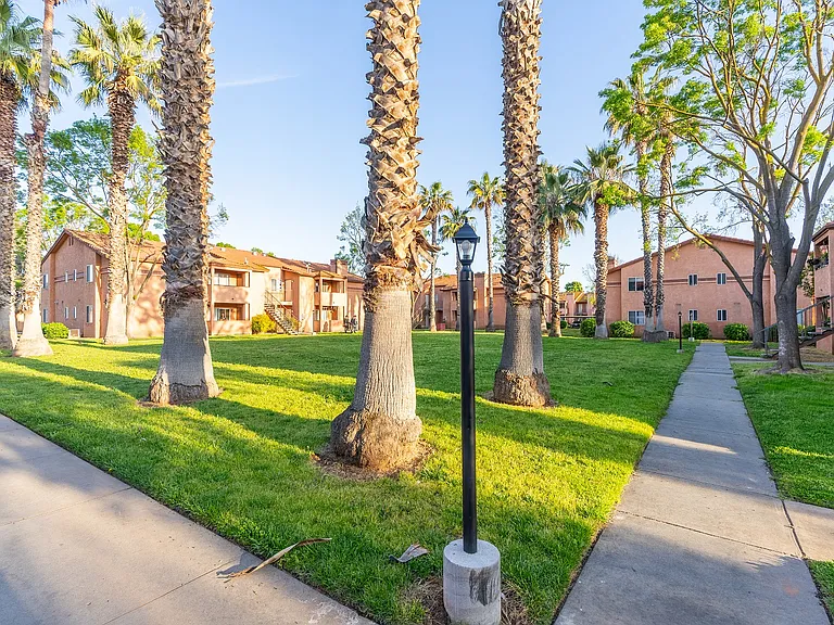 Mirage Apartments — Photo 8