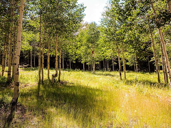 2nd image of 269 White Pine Canyon Rd Lot 269