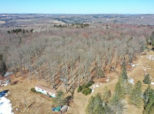 227 Jones Rd LOT WP001, Mount Vision, NY 13810