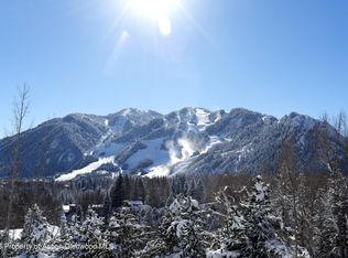 364 Willoughby Way, Aspen, CO 81611