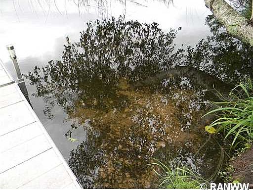 3rd image of 9051 Mosquito Drive