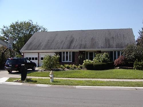 1st image of 161 Shagbark Dr