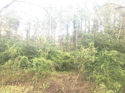 4001 Oxford Ln, Blackshear, GA, 31516