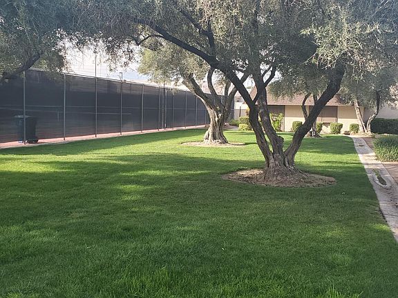 Tennis court with Gras space for Dogd