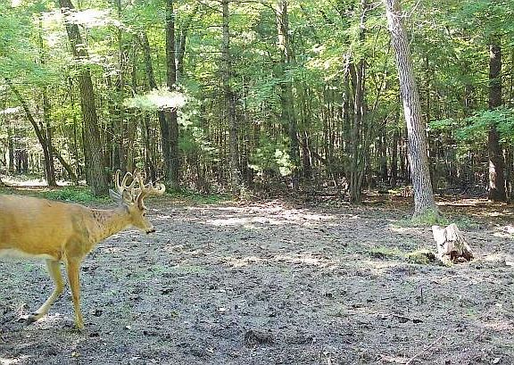 2nd image of 5766 CAMBRIDGE ROAD