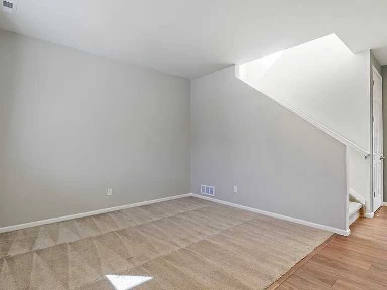 6244 Bodacious Cir — Photo 4