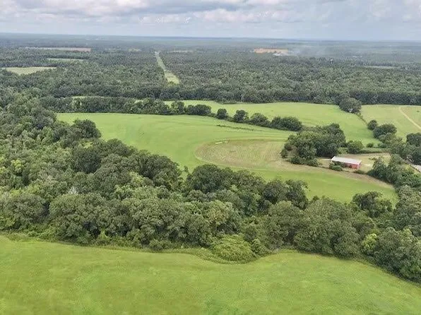 389 County Road 3316, Brundidge, AL 36010