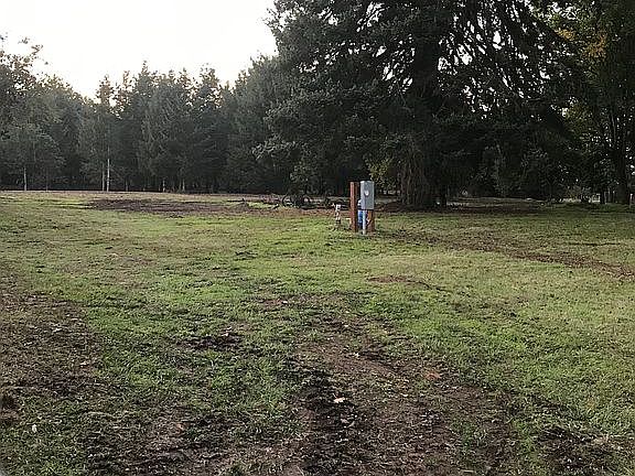 New 200 amp electric 

