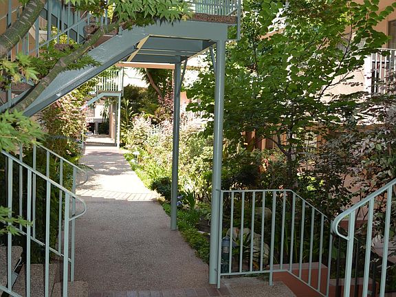 Parklike Garden