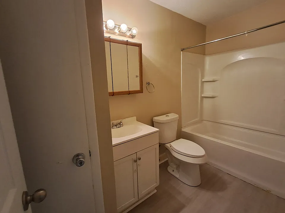new toilet and vanity