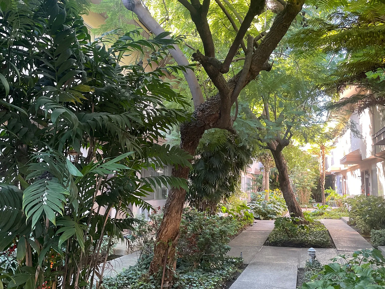 311 San Marcos St — Photo 1