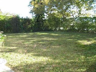 BACK YARD