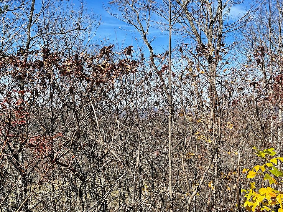 2nd image of 29J Ash Branch Dr #29J