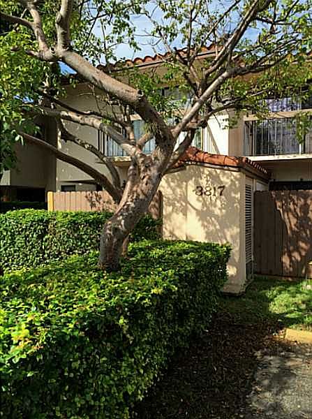 2nd image of 3817 SW 82nd Ave #Ix44