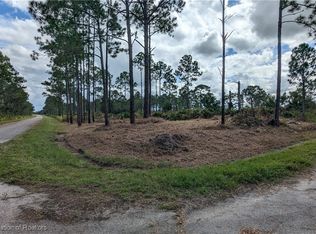 8237 Domineco St, Sebring, FL 33872