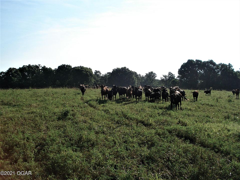 2696 White Oak Rd, Seligman, MO 65745 MLS 213318 Zillow