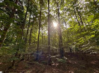 0 Langs Ln, Interlochen, MI 49643