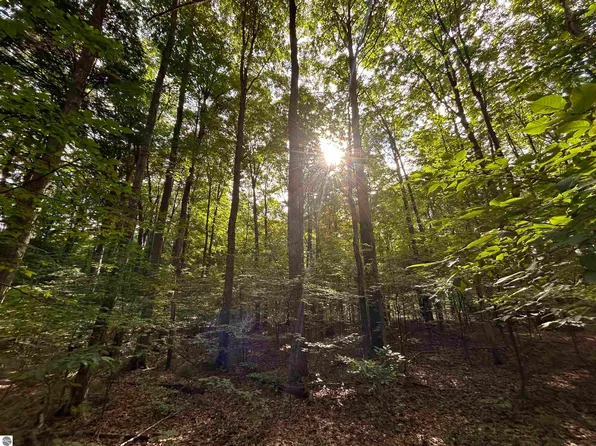 0 Langs Ln, Interlochen, MI 49643