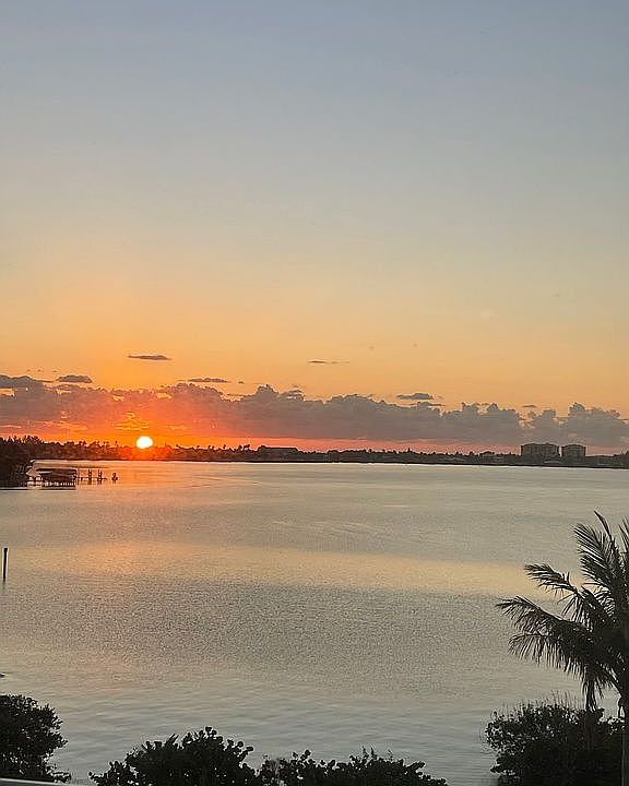 Morning view from sunroom