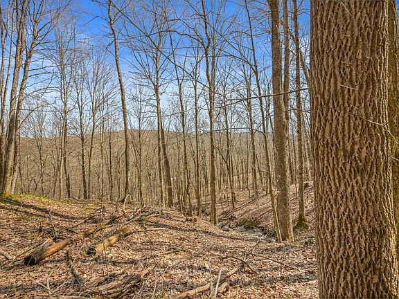5th image of L9113 Lutheranville Rd