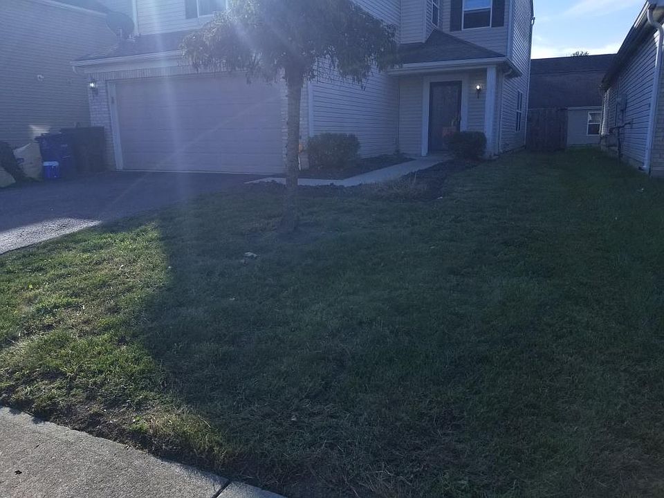 House Front