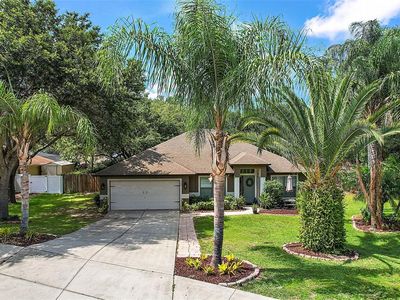 1209 Oak Leaf Ct, Minneola, FL, 34715
