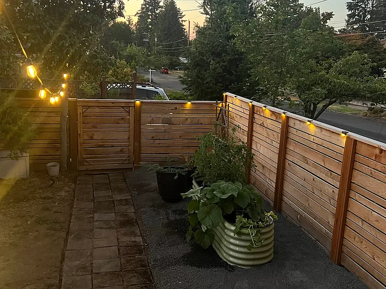 Evening capture of the backyard