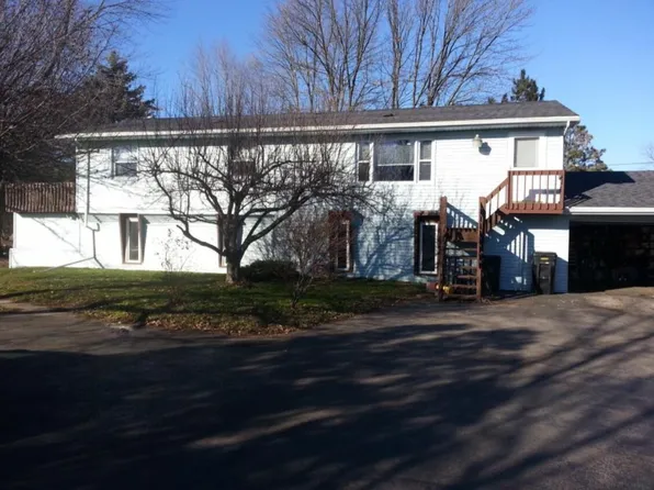 12980 Luick Dr, Chelsea, MI 48118