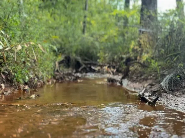 1750 Lee Road 76, Waverly, AL 36879