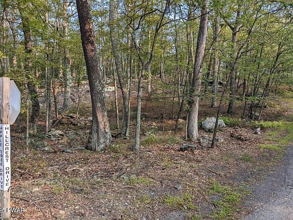 5th image of LOT 1 Apple Tree Dr