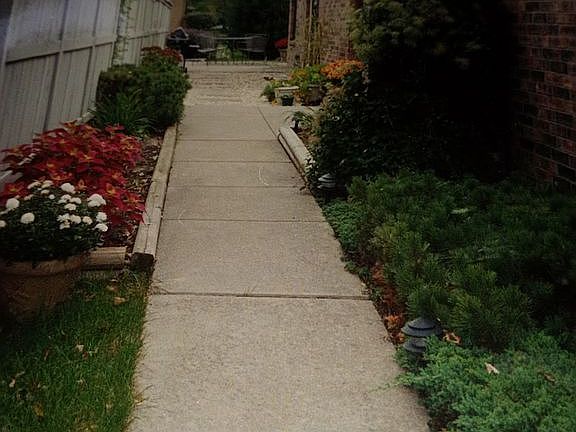 Walkway to back yard 