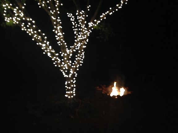 Fire pit in backyard