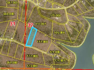 Mountain Estate Dr #14, Blue Eye, MO 65611