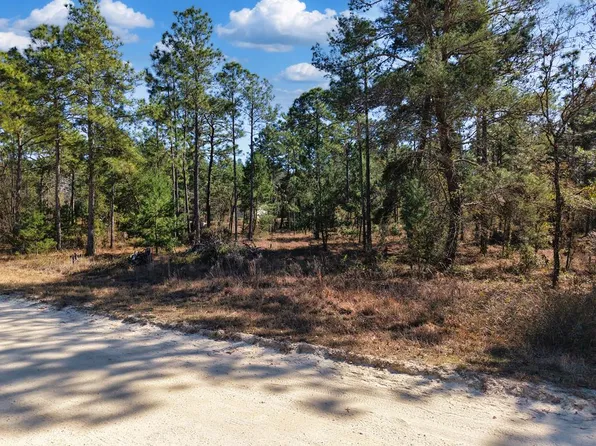 TBD 00 SE 6th Ln, Williston, FL 32696
